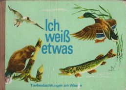 Tierbeobachtungen am Wasser